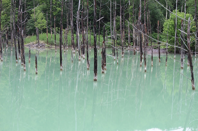 美瑛青い池 北海道の車中泊を考える