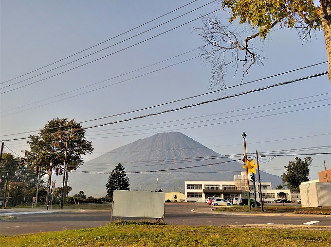 道の駅 真狩フラワーセンター