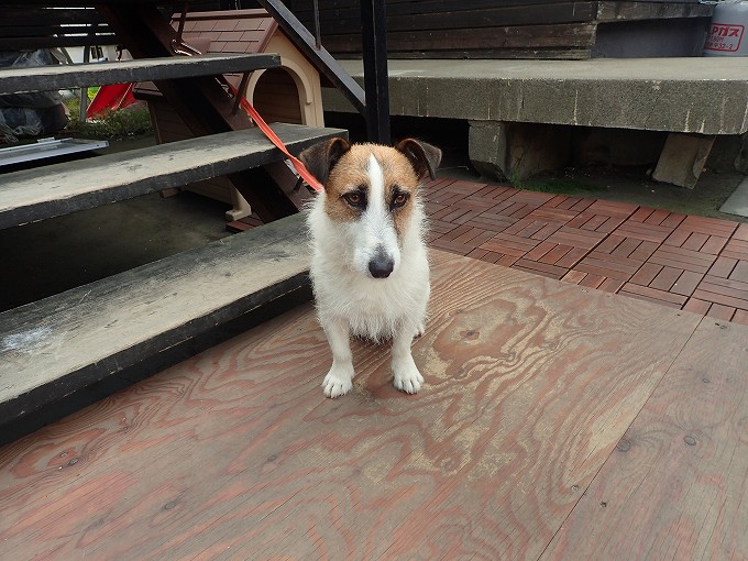 北海道 車中泊 キャンピングカー 銭函 zenibako base airstream cafe ブログ